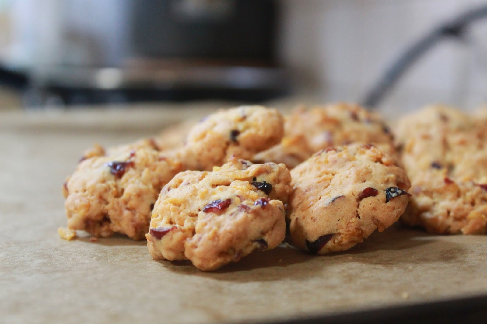 cranberry-delight-cookies