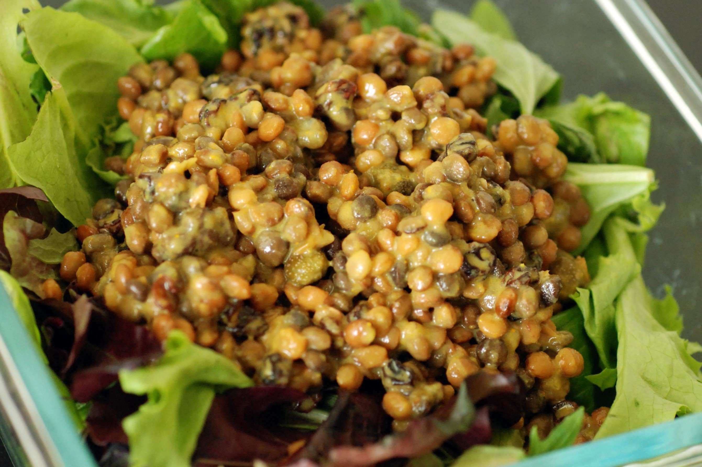 curried-lentil-salad