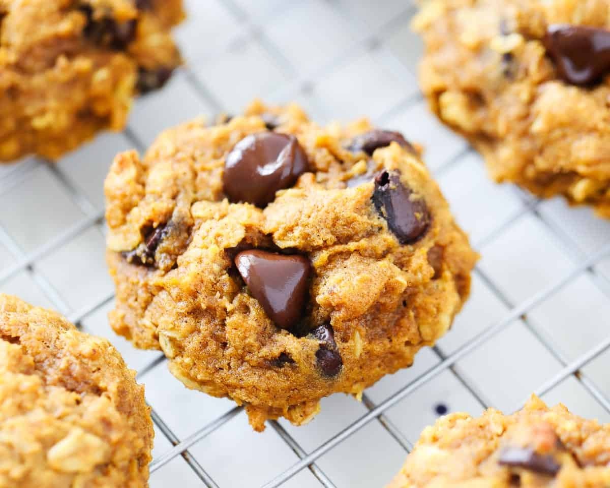 pumpkin-oat-chocolate-chip-cookies-recipe