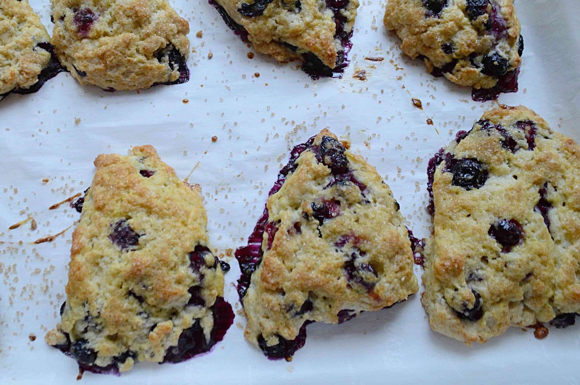 blackberry-cornmeal-scones-recipe