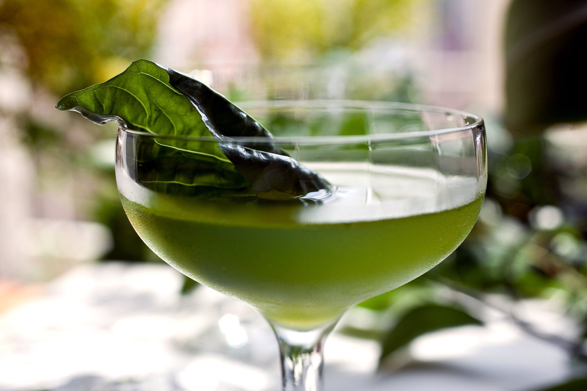 lemon-basil-gimlet-recipe