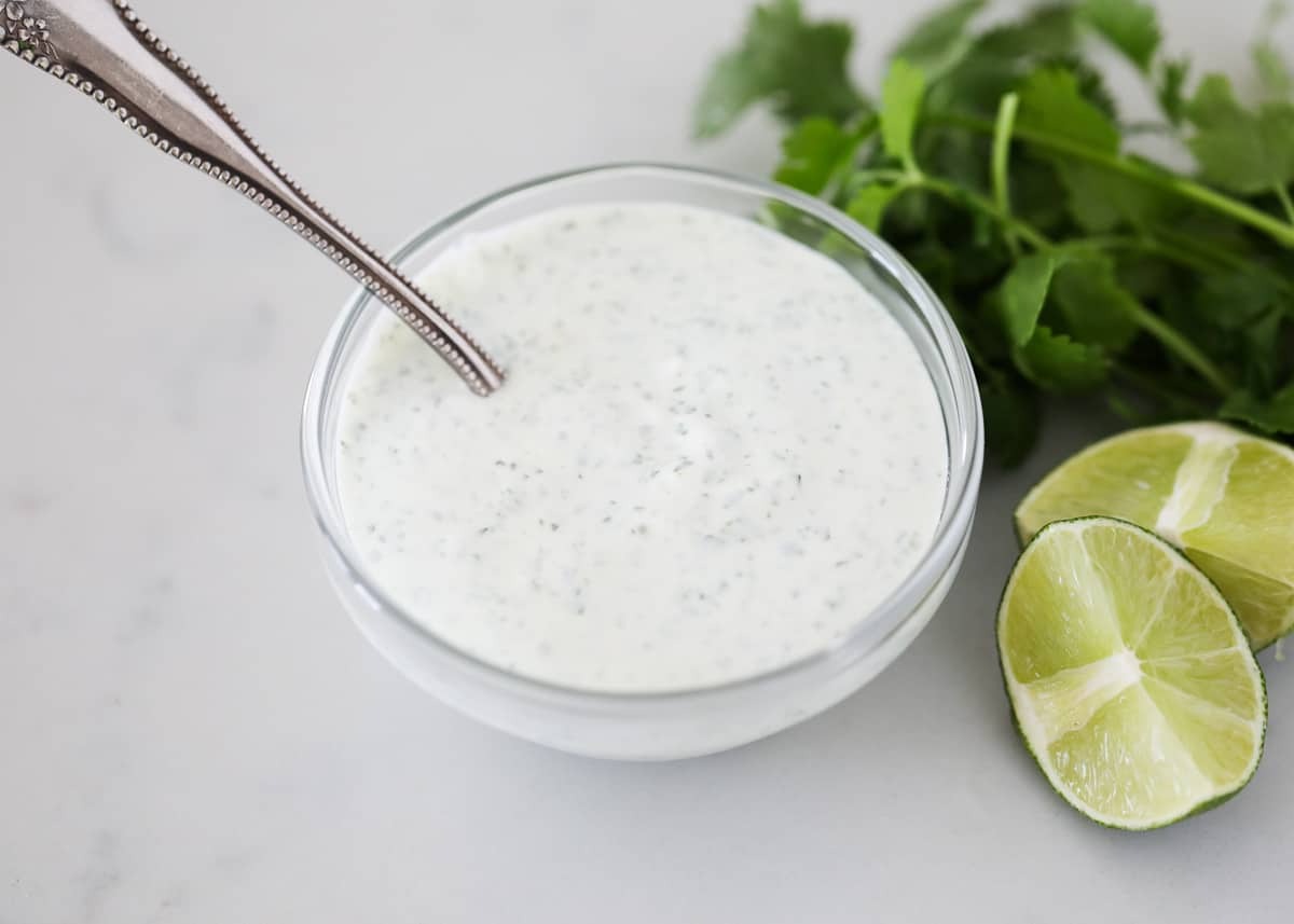 cilantro-cream-sauce-recipe